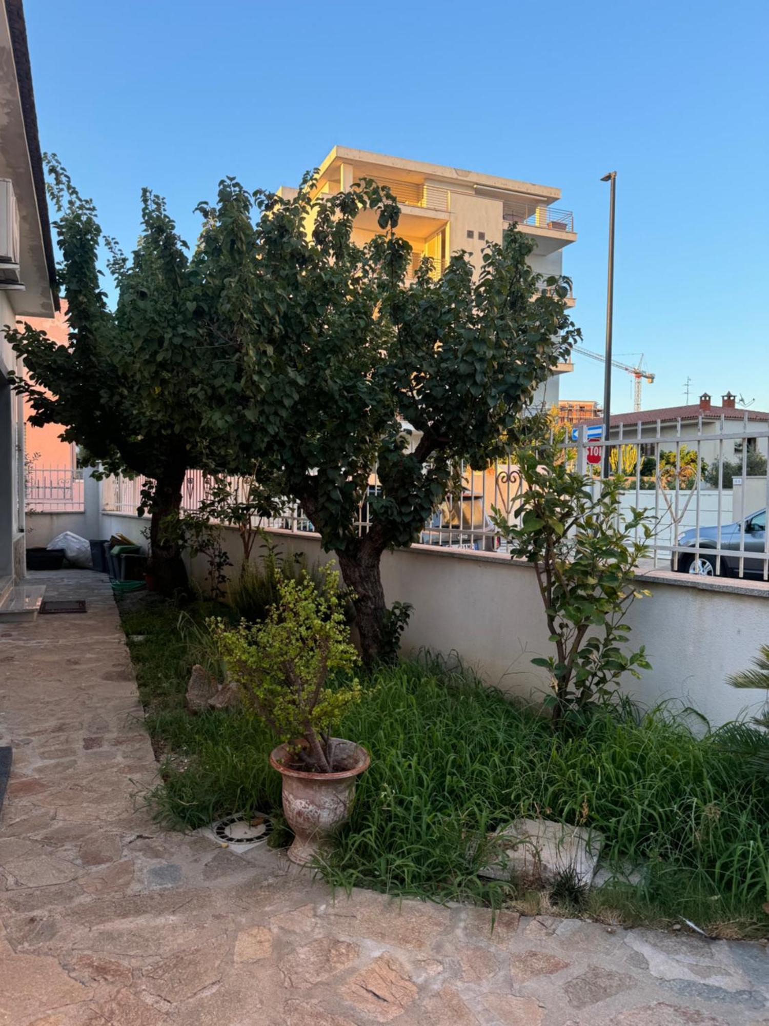 Da Gio Daire Olbia Dış mekan fotoğraf